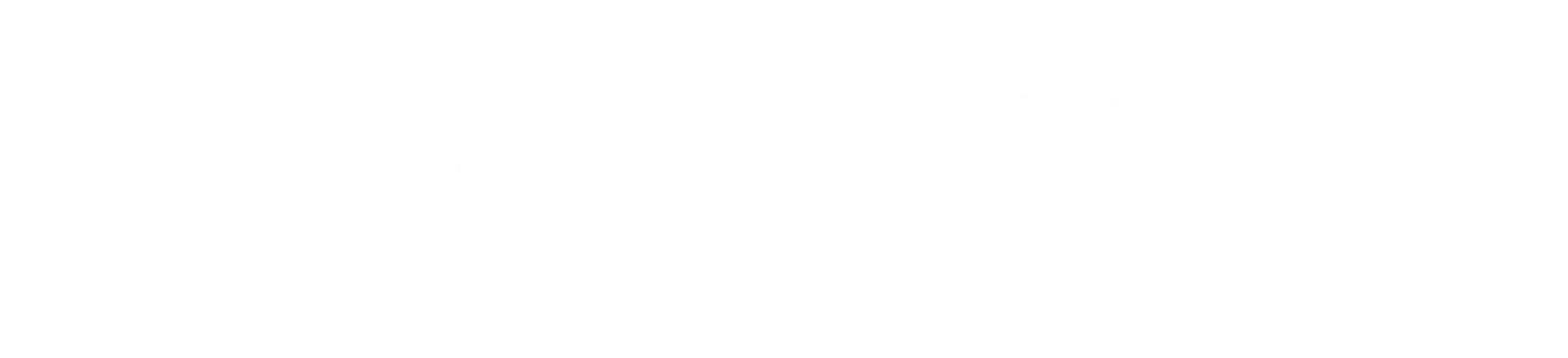 ACSIMMO